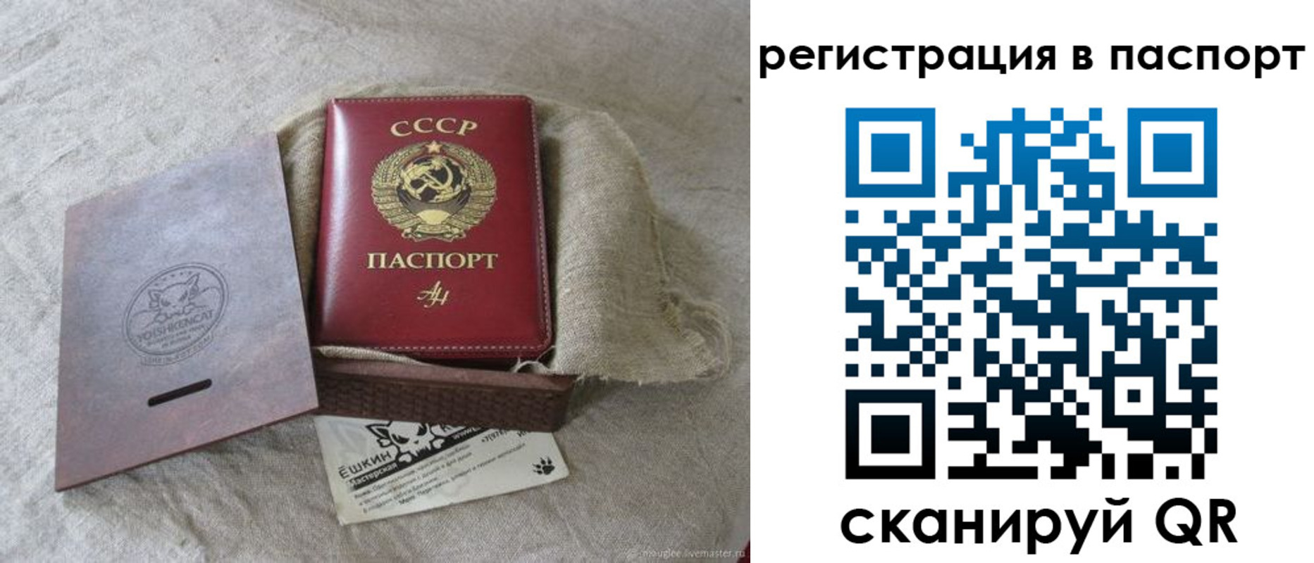 прописка регистрация в Жуковском